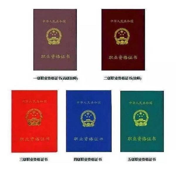 9d9dc8c9.jpeg 9d9dc8c9.jpeg