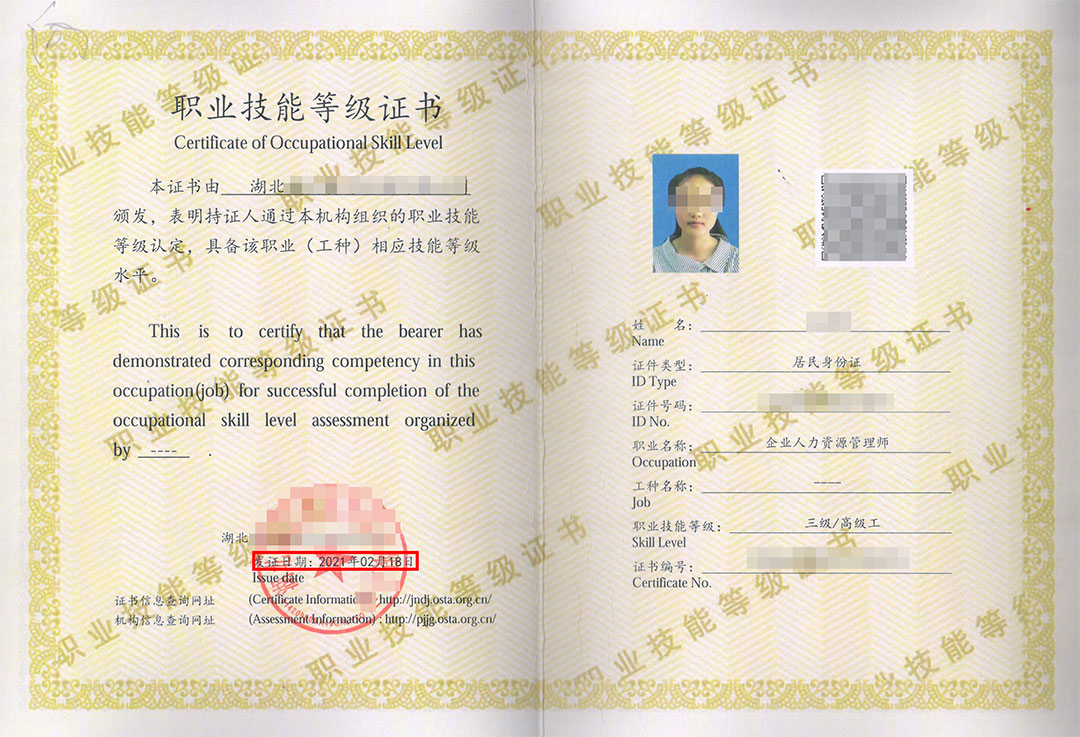 職業(yè)技能等級認定 職業(yè)技能等級認定